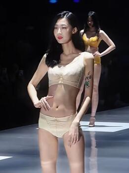 2024深圳内衣展品牌秀