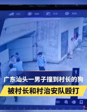 广东汕头一男子骑车撞到村长的狗被上门殴打