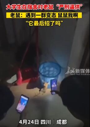 大学生在宿舍恶搞对老鼠