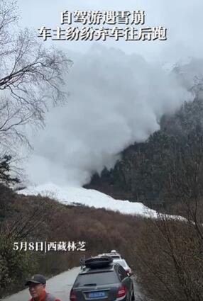 西藏林芝突发雪崩 自驾游车主纷纷弃车逃跑