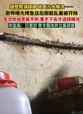 深圳一厨师曝光烤鱼店后厨脏乱差被开除