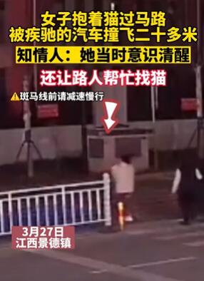 女子抱猫过马路被汽车撞飞
