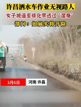 河南许昌一女子被洒水车逼至绿化带