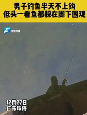 男子钓鱼半天鱼不上钩 低头一看全在脚下围观