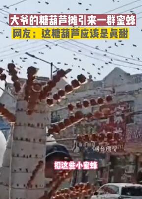 武汉警方打掉一洗钱团伙 利用虚假黄金店为电诈集团洗钱3000余万