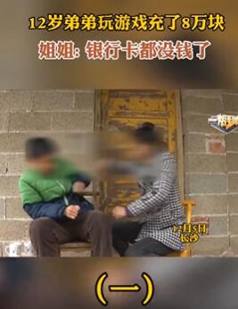 12岁男孩玩游戏偷拿妈妈钱充值8万元