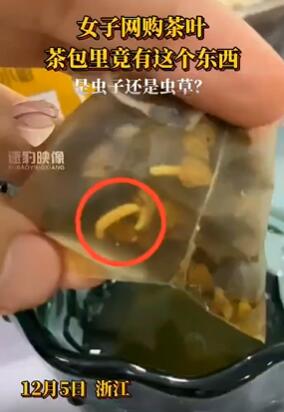 女子网购茶包里发现虫子 网友:冬虫还是夏虫