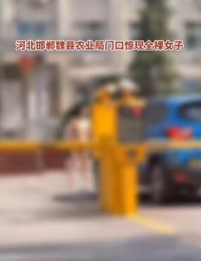 河北魏县农业局门口惊现一名全裸女子 具体原因有待官方公布