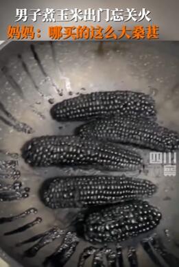 男子出门忘关火,锅中玉米变桑葚