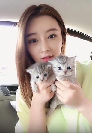 喜欢猫的美女更可爱