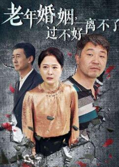 老年婚姻过不好离不了