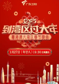 2025蛇年粤港澳大湾区春节晚会