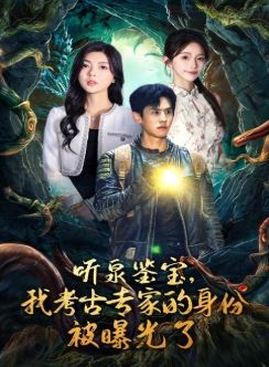 听泉鉴宝,我考古专家的身份被曝光了