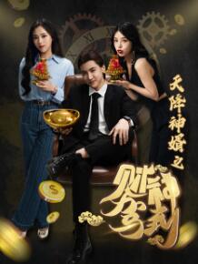 天降神婿之财神驾到