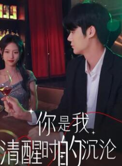 你是我清醒时的沉沦