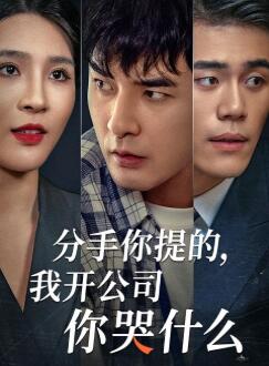 分手你提的,我开公司你哭什么