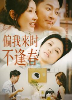 偏我来时不逢春