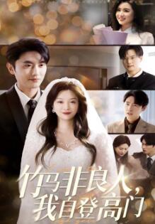 竹马非良人,我自登高门