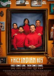 一个不错的印度男孩