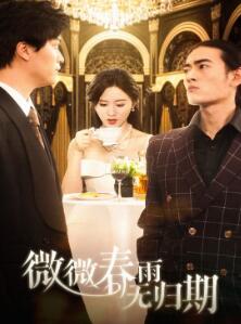 微微春雨无归期