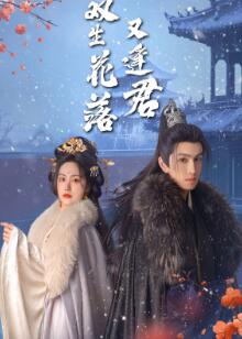 双生花落又逢君