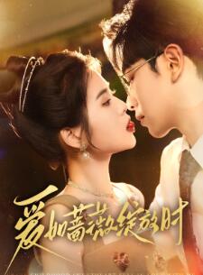 爱如蔷薇绽放时