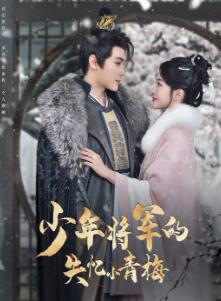 少年将军的失忆小青梅