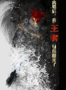 离婚后,我王者身份曝光了