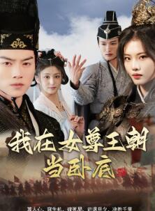 我在女尊王朝当卧底