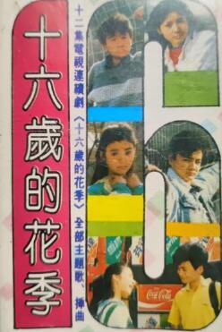 十六岁的花季